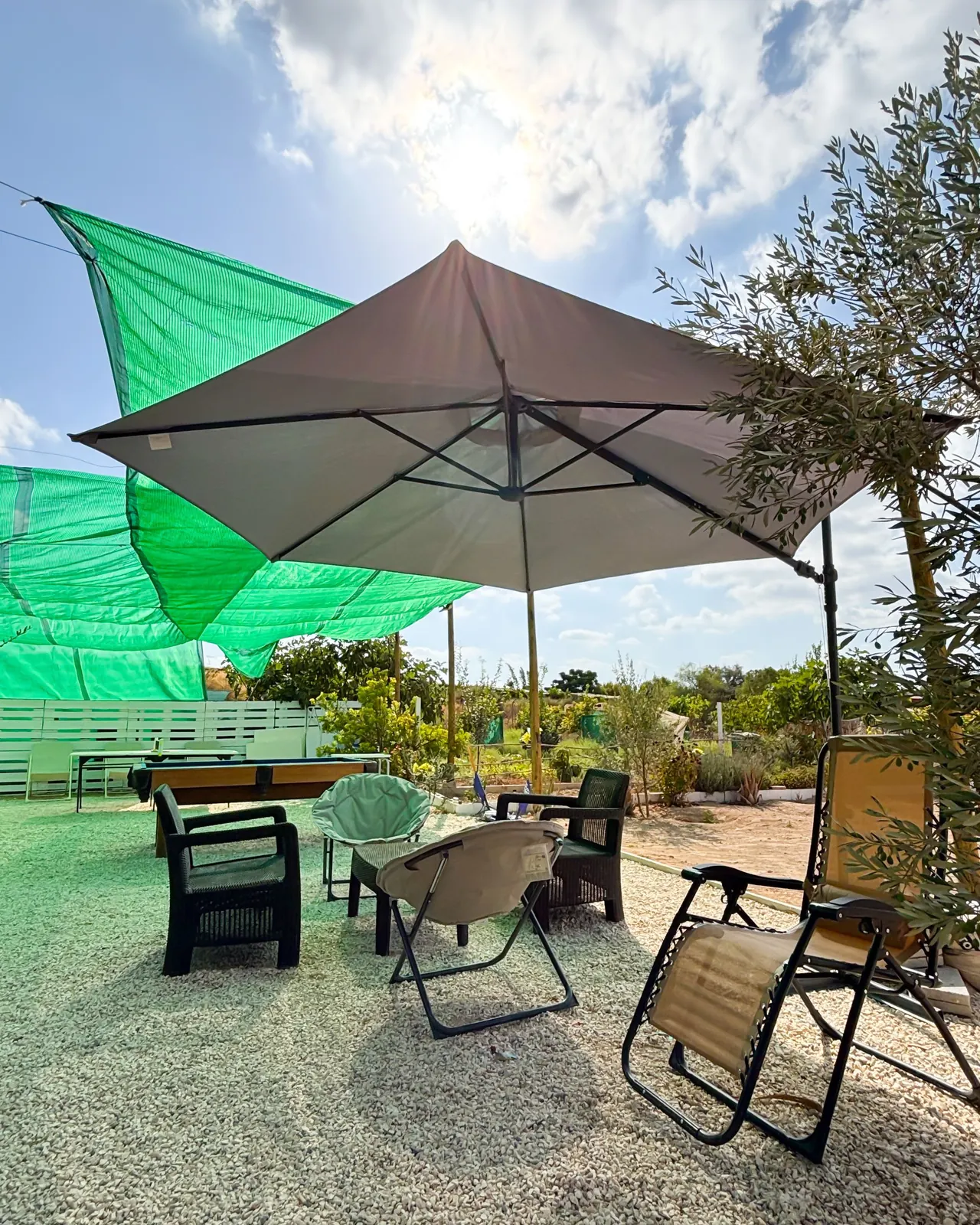 Zona de sombra con sillones y mesa auxiliar junto al olivo