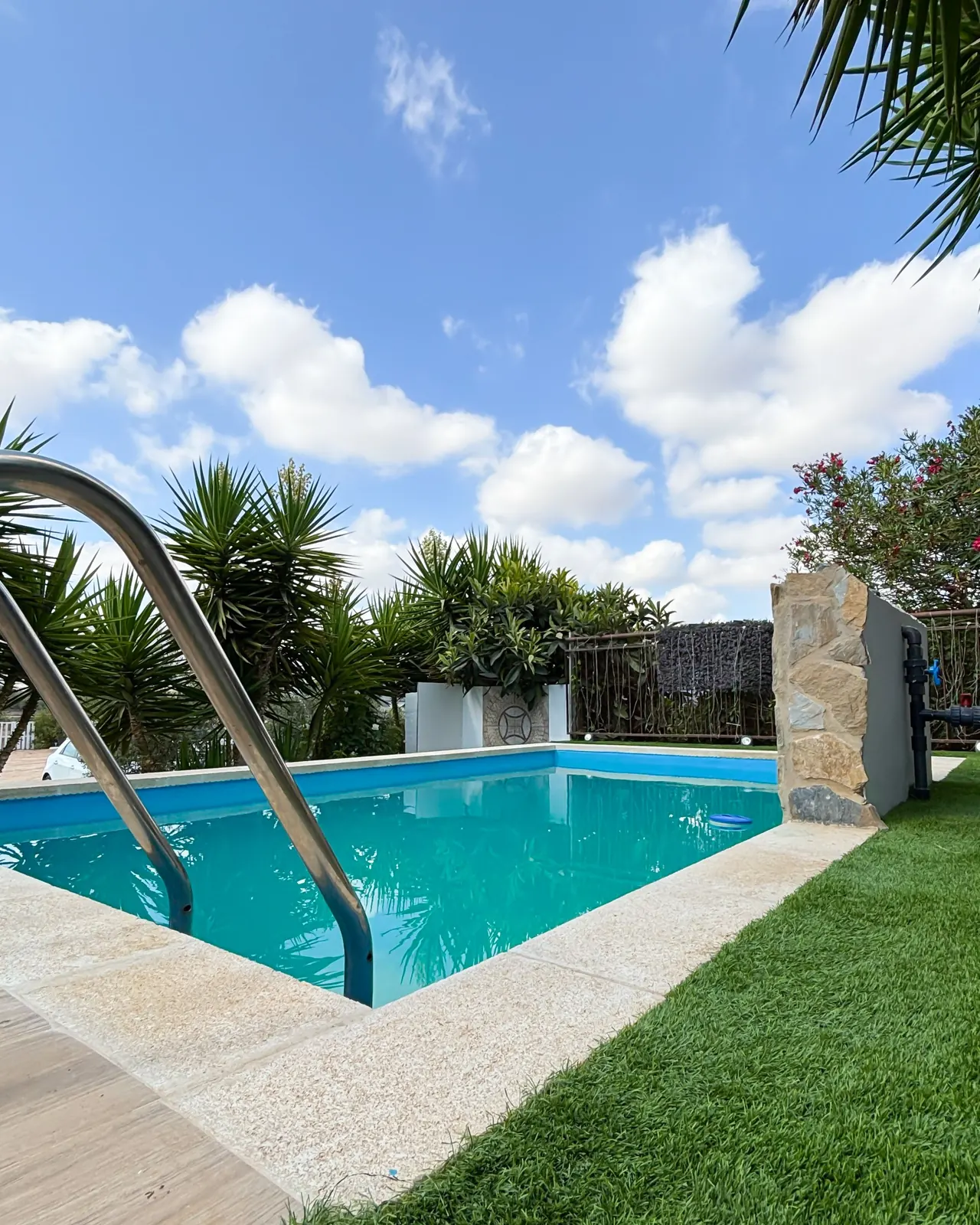 Piscina privada con escalera de acceso y vegetación